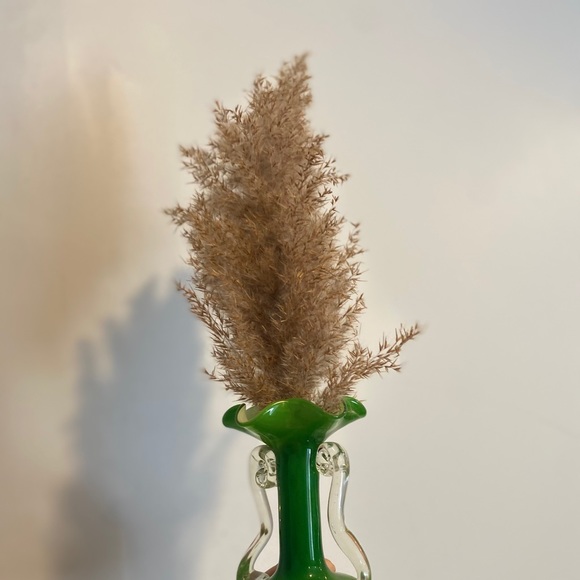 8 Piece Bundles-Dried Natural Pampas Grass - Picture 8 of 8